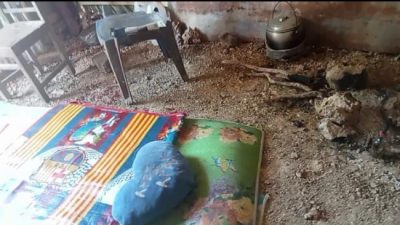 Miris! Nenek Luisa Lusi Tinggal di Gubuk Reyot dan Hidup Sebatang Kara,Pemerintah Tak Peduli 3 IMG 20231126 WA0002