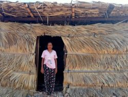 Miris! Nenek Luisa  Lusi Tinggal di Gubuk Reyot dan Hidup Sebatang Kara,Pemerintah Tak Peduli