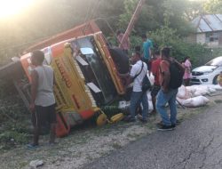Na’as…!!! Truk Pengangkut Pupuk Urea 10 Ton Terguling di Jalan Hoiledo