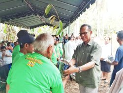 Kawal Aspirasi Petani, Usman Husin Salurkan 2.000 Bibit Durian Monthong di Rote Ndao